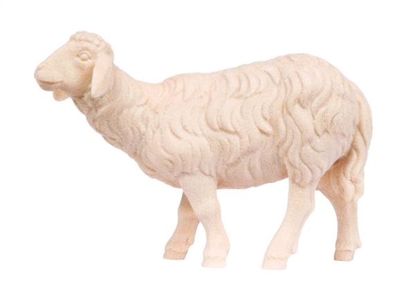 Schaf stehend links Schaf stehend links