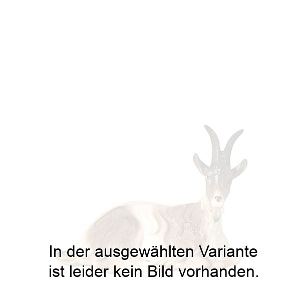 Ziege liegend