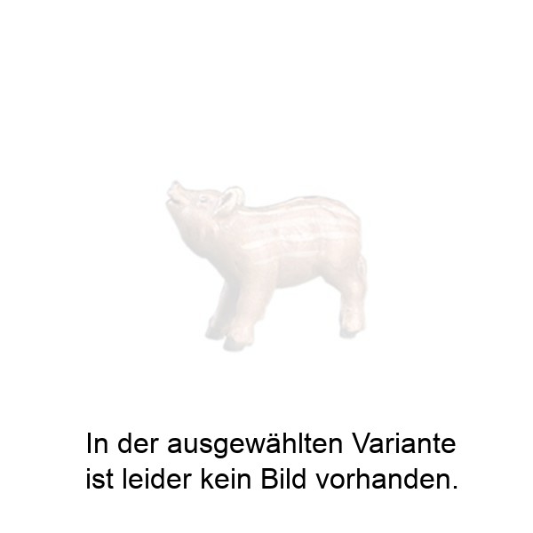 Frischling nach oben schauend Frischling nach oben schauend