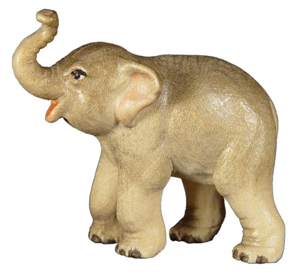 Junger Elefant