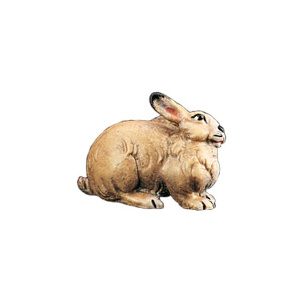 Hase
