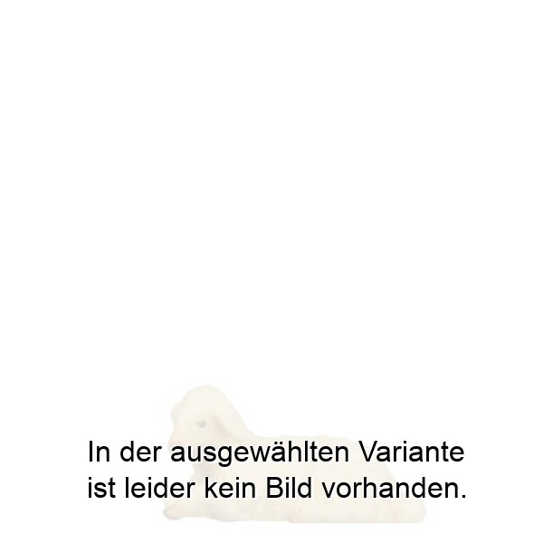 Lamm liegend Lamm liegend