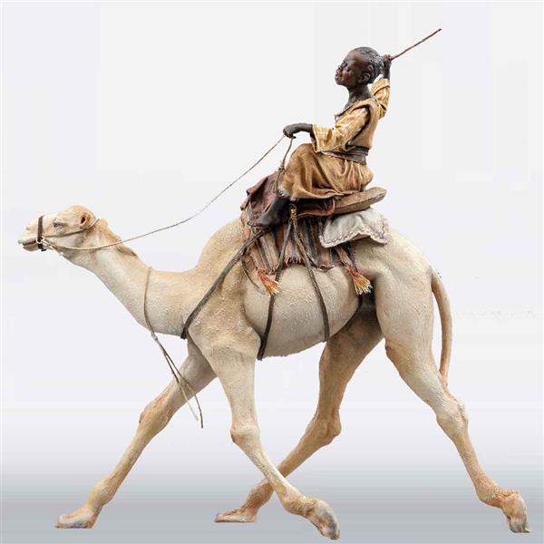 Kind auf Dromedar Kind auf Dromedar