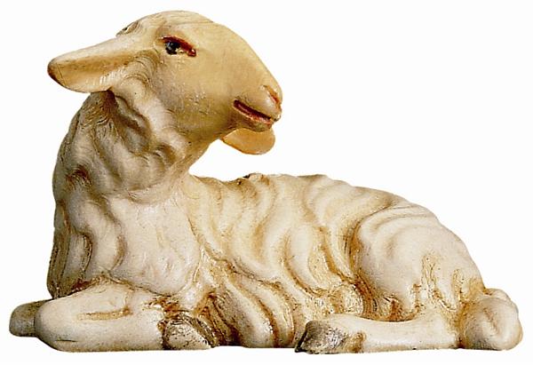 Schaf liegend Schaf liegend