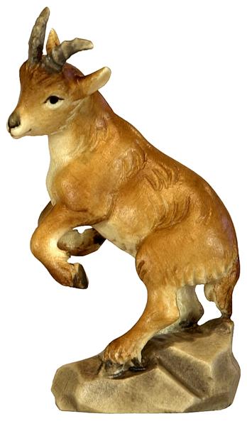 Steinbockkitz stehend - rechts Steinbockkitz stehend - rechts