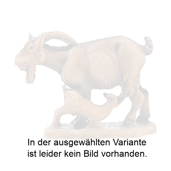 Ziege mit Böcklein Ziege mit Böcklein
