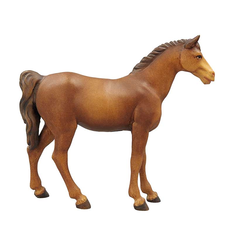 Pferd braun Pferd braun