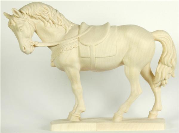 Pferd schwarz