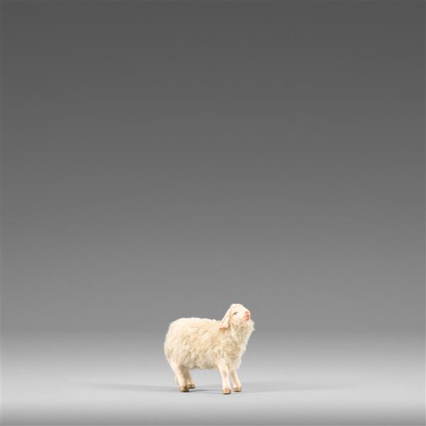 Lamm mit Wolle beige Lamm mit Wolle beige