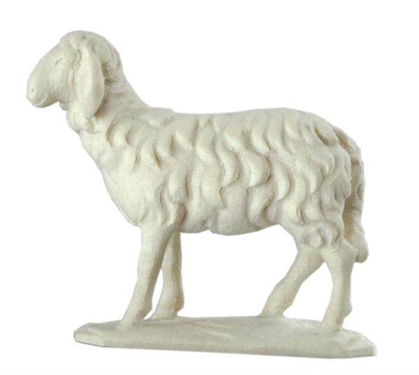 Schaf stehend Schaf stehend