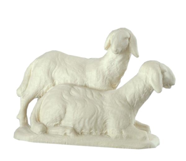 Schafgruppe Schafgruppe