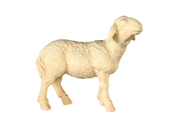 Schaf Kopf hoch barock K. o.S.