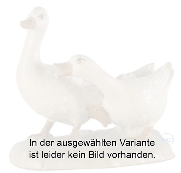Gänsegruppe