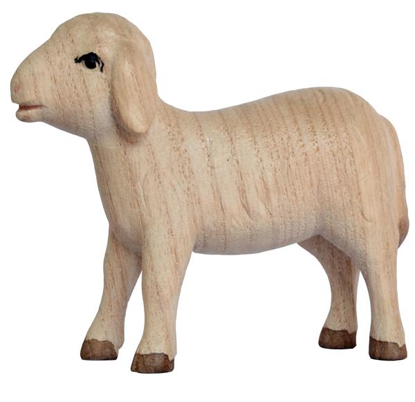 Schaf stehend