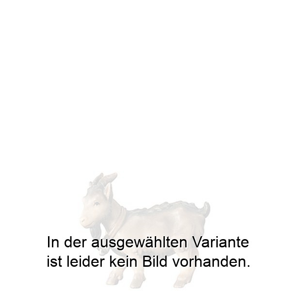 Zwergziege
