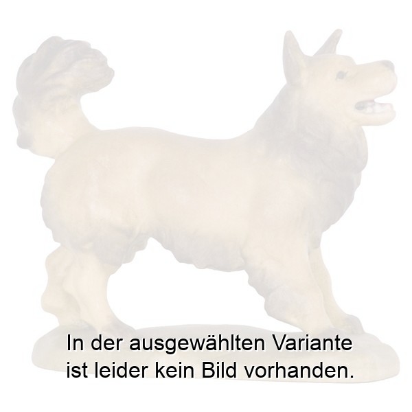 Spitzhund