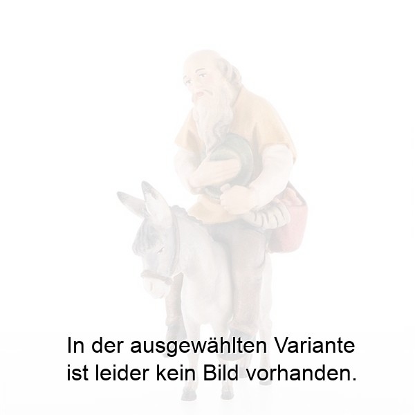 Reiterhirt ohne Esel Reiterhirt ohne Esel