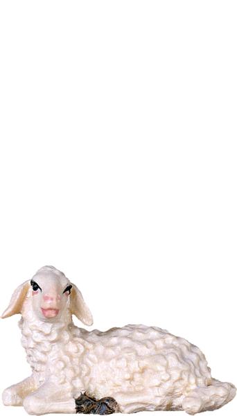 Lamm liegend