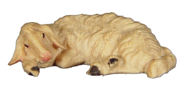 Schaf schlafend