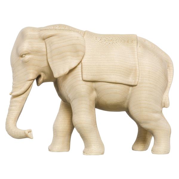 Elefant