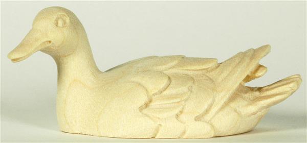 Ente schwimmend - Kopf links grün