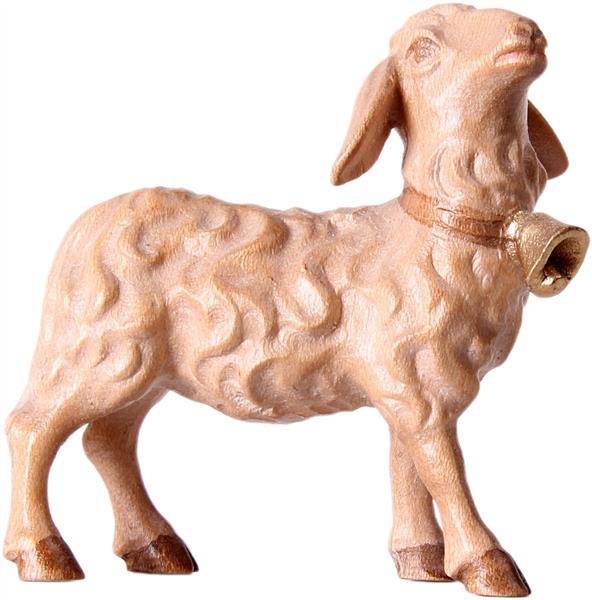 Schaf mit Glocke Schaf mit Glocke