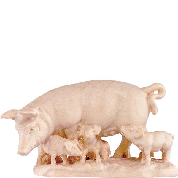 Schweinegruppe Schweinegruppe
