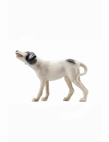 Hund Pointer Hund Pointer
