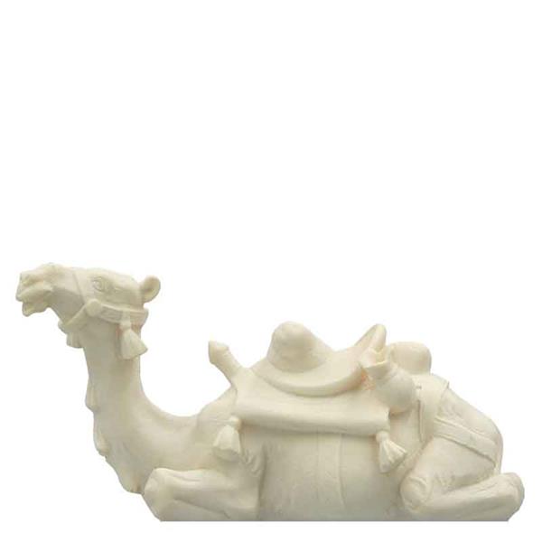 Kamel liegend Kamel liegend