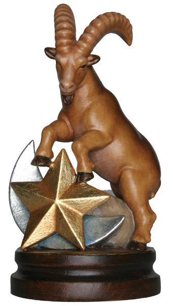 Sternzeichen Steinbock