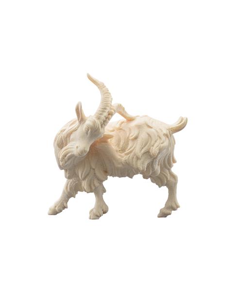 SI Ziegenbock kratzend SI Ziegenbock kratzend