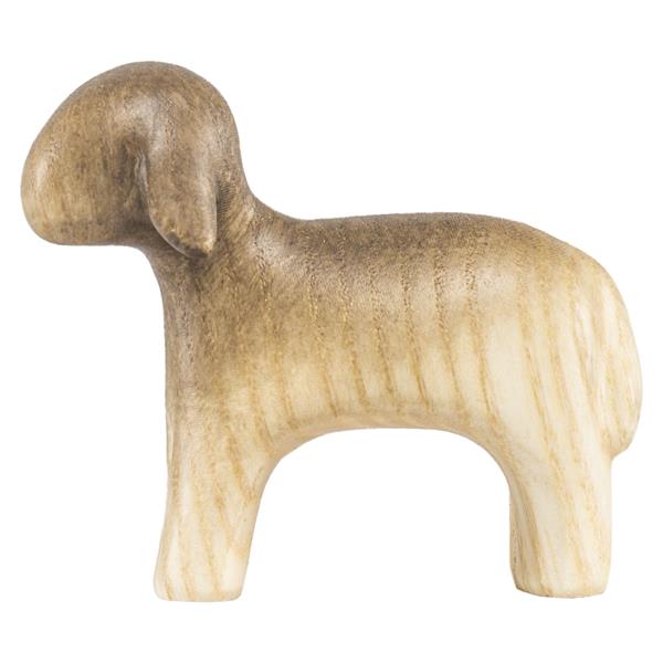 Schwarzes Schaf schauend