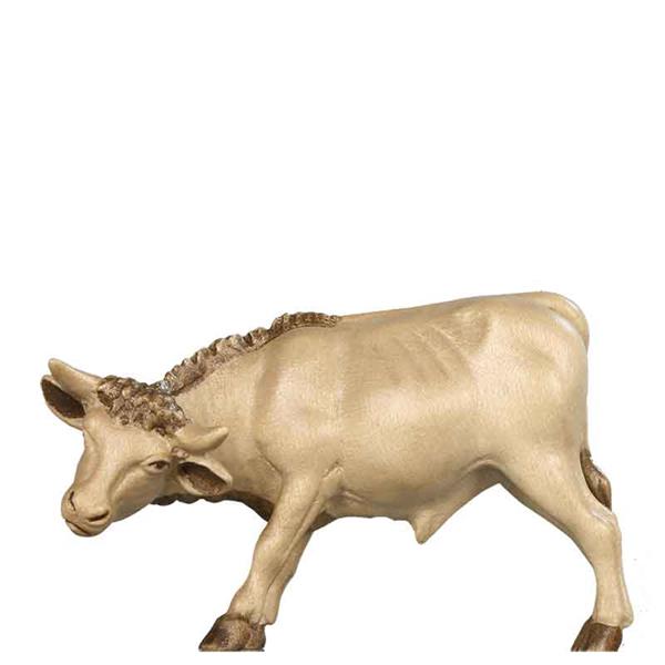 Ochs stehend