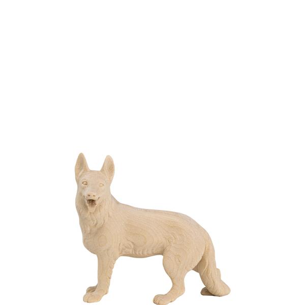 Schäferhund Schäferhund