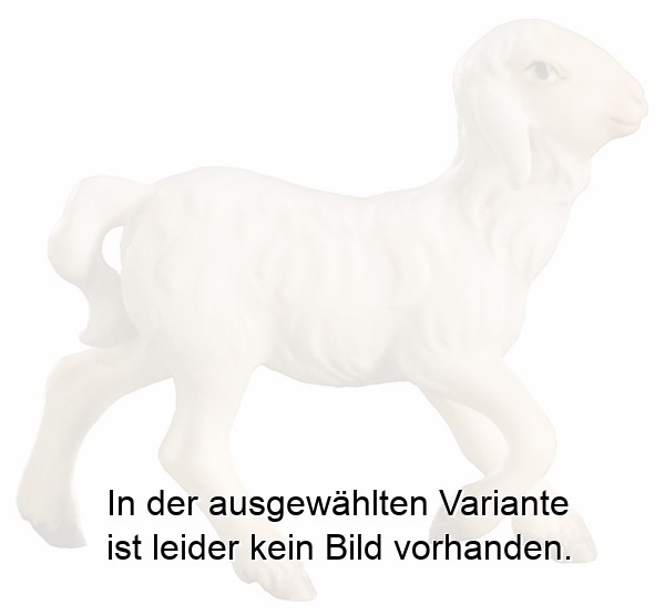 Lamm laufend Lamm laufend