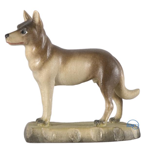 Hund
