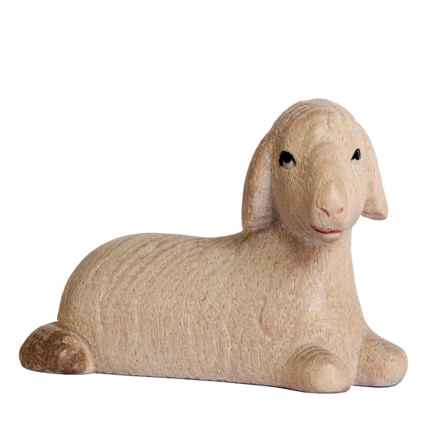 Schaf liegend Schaf liegend