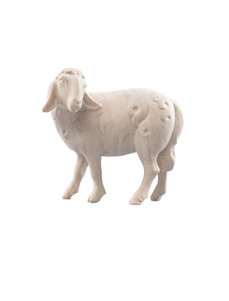 LI Schaf zurückschauend Neuheit 2024 LI Schaf zurückschauend Neuheit 2024