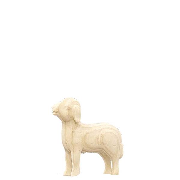 Lamm stehend Lamm stehend