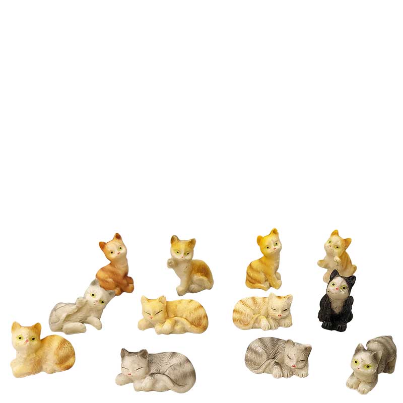 Katzen 12-teilig