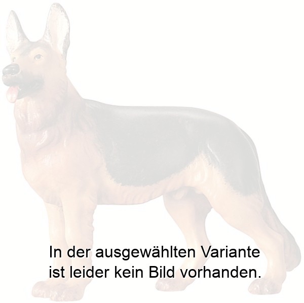 Schäferhund Schäferhund