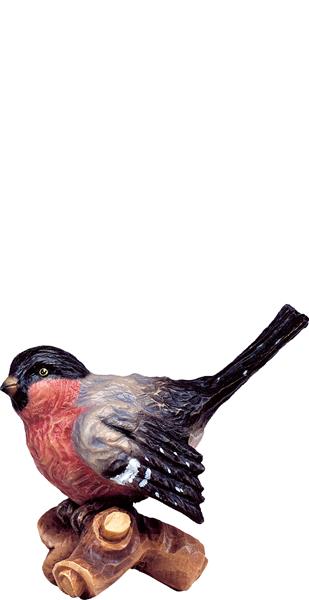 Vogel auf Ast rot
