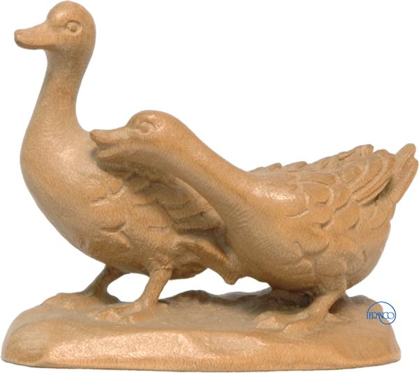 Gänsegruppe Gänsegruppe