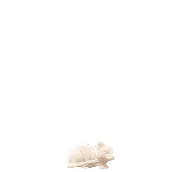 Maus