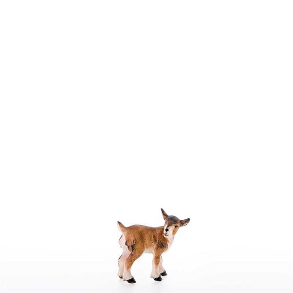 Ziegenkitz Ziegenkitz