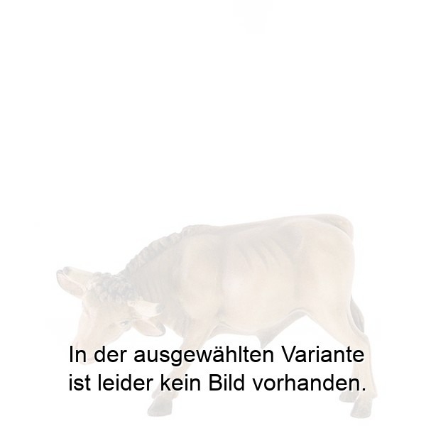 Ochs stehend Ochs stehend