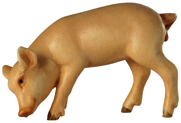 Ferkel Kopf unten Ferkel Kopf unten