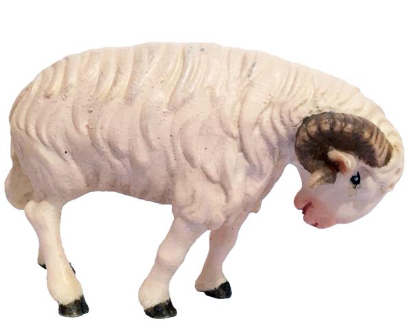 Schafbock weiß
