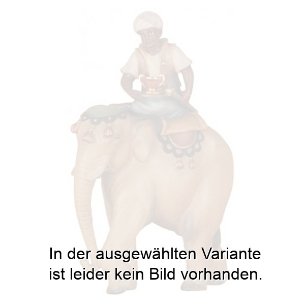 Elefant mit Reiter