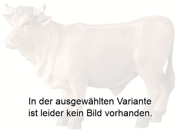 Ochs stehend Ochs stehend